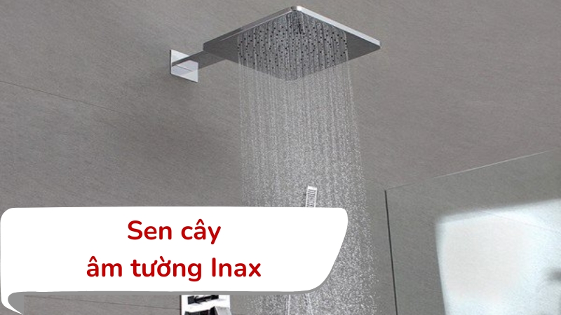 Sen cây Inax âm tường