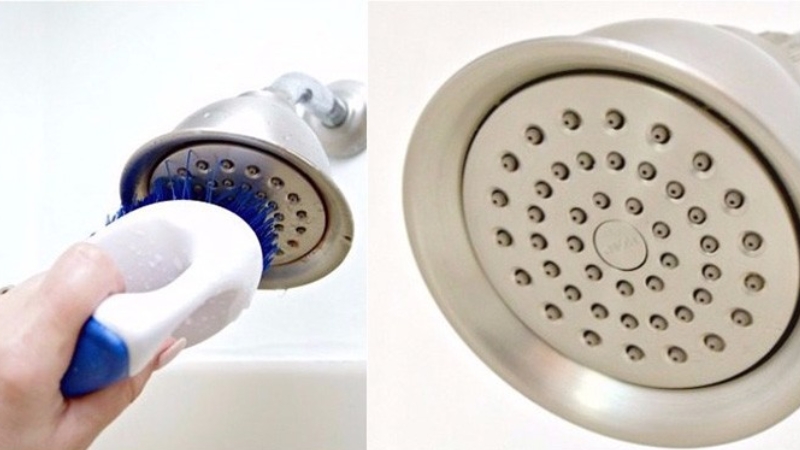 Vệ sinh sen cây Inax